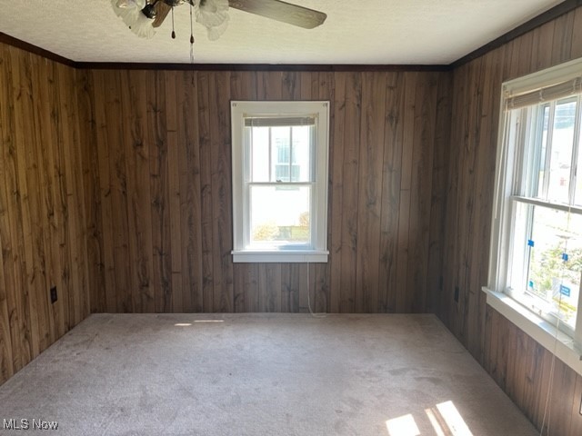 404 Alelaide Street, Minerva, Ohio image 4