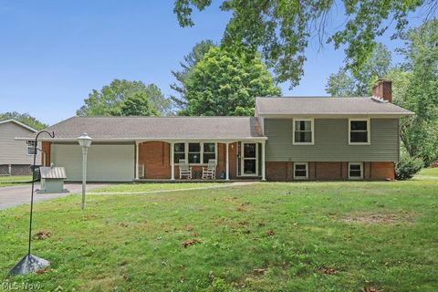 Homes For Sale - 13166 Meadow Street<br/> Alliance, OH 44601