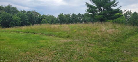 Vacant Land For Sale - 8070 Pinoak Drive<br/> Carrollton, OH 44615