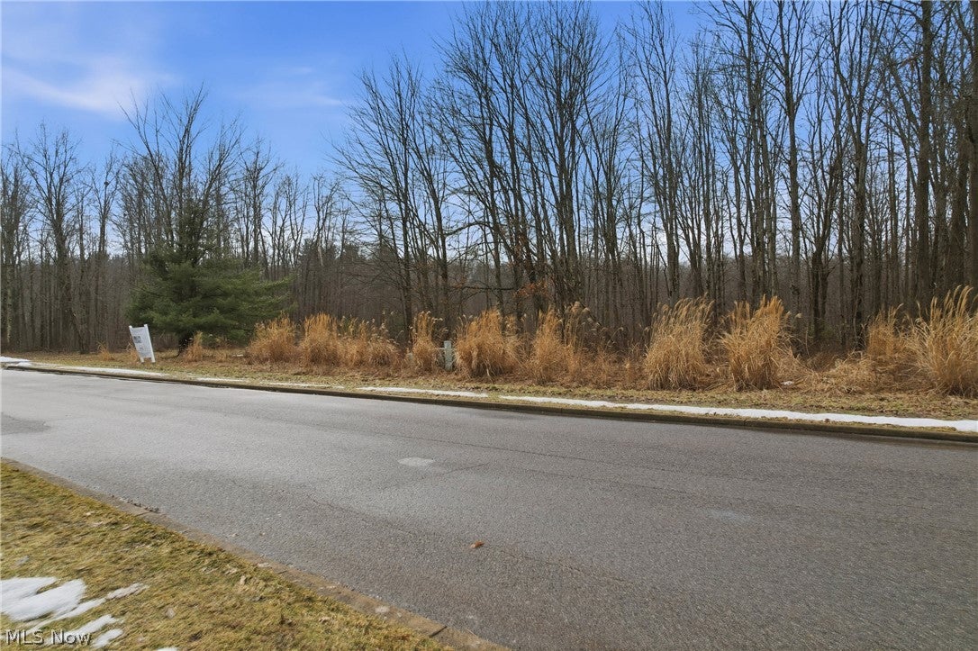 Lakeview Drive