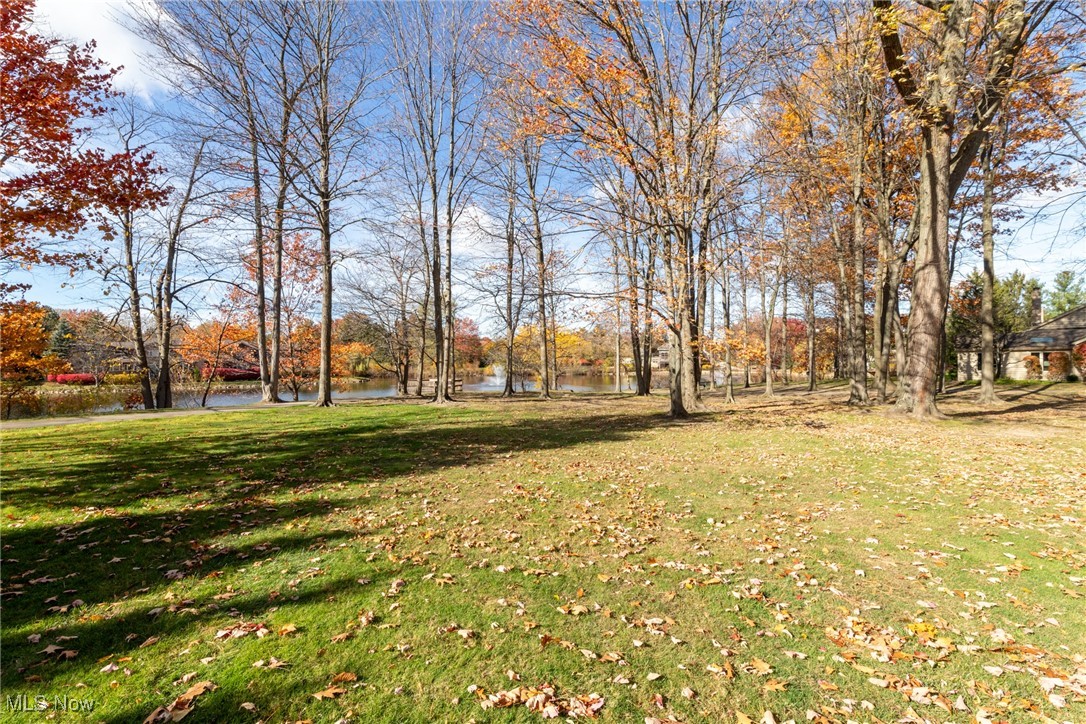 The Village - Residential