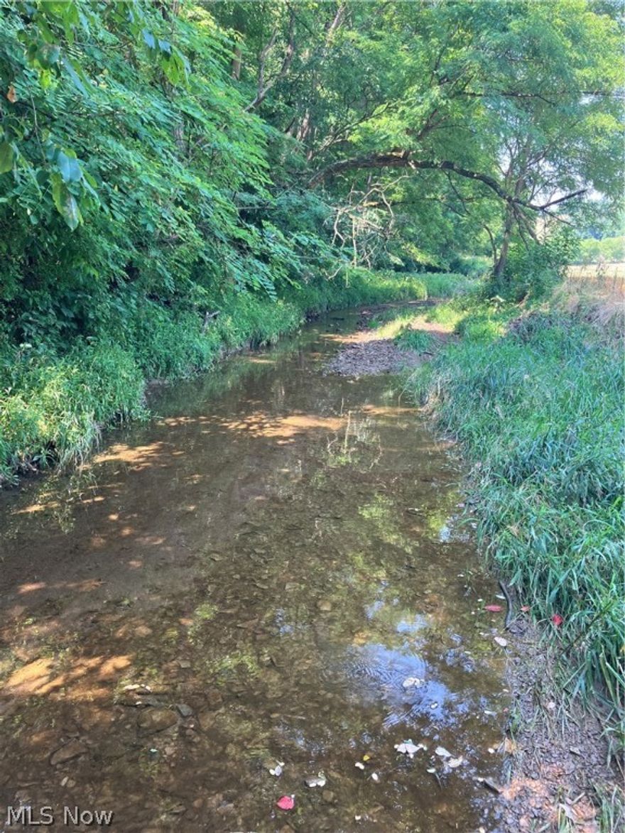If you want hunting land in Washington Township, Coshocton Ohio, with lots of mature woods, clear creek bottom stream, open bottom land in corn and beans, plus rental income from farmland and mobile home site and lots of road frontage, all in a very private setting, come check this out.  Two large woodlots separated by corn fields and stream, deer trails crisscross the valley, south hill hasn't been mowed in years, woods has marketable timber and Mineral Rights transfer to Buyer.