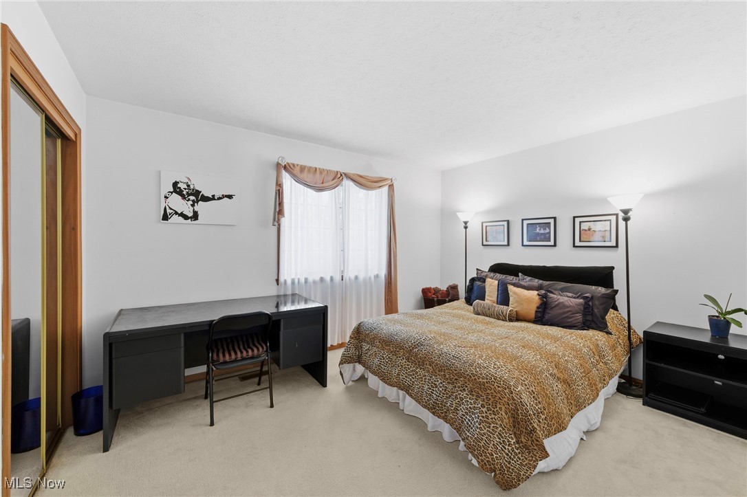 Reserve of Medina - Residential