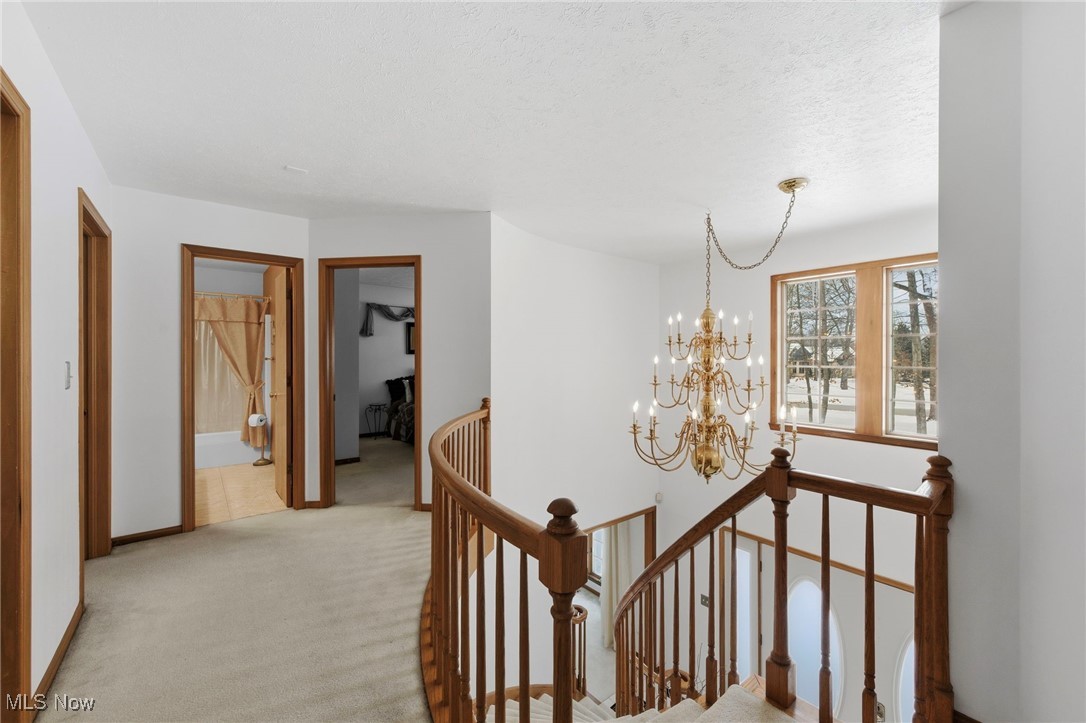 Reserve of Medina - Residential