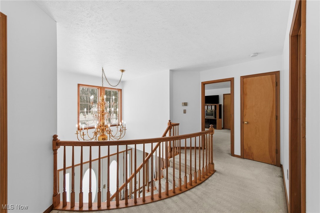 Reserve of Medina - Residential