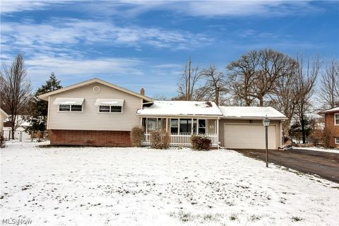 6304 Meadowbrook Drive Mentor OH 44060