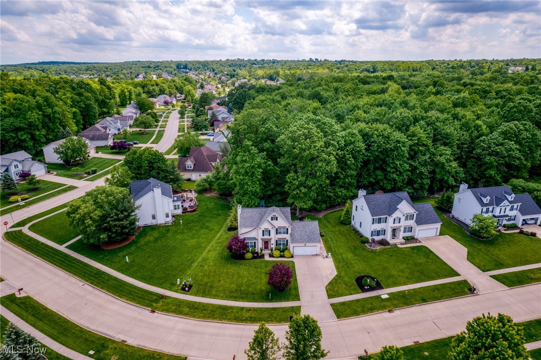 5609 Trystin Tree Drive, Medina, Ohio image 40