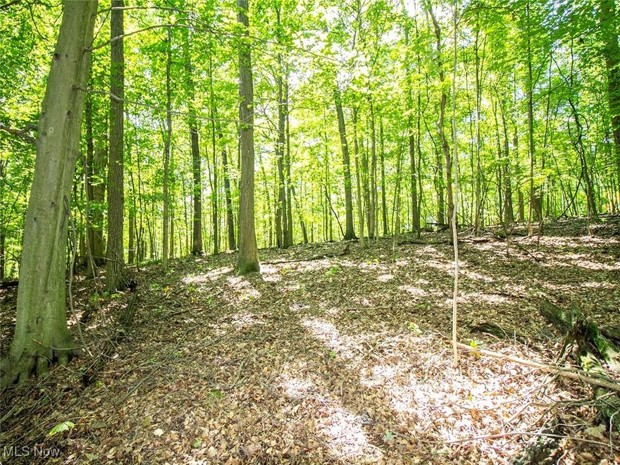 Land for sale in Richland County, Ohio.  Very hard to find, 3.26 wooded acres in Bellville, Ohio.  The property lies flat from the road and has two perfect areas for a driveway off the road.  Open woods with some mature trees.  Approx. 230 ft. of frontage on Mishey Rd.  Close to Mohican State Forest, Pleasant Hill Lake, and Malabar Farm.  Clearfork Schools.  This would make a great potential home or cabin site.  Seems to be a lot of wildlife using the property.  The property is mostly bordered by woods.  Approx. Boundary lines are marked with orange ribbons, and the two potential driveway locations are marked with pink ribbons.  Don't miss out on this property in the heart of the Mohican Valley.