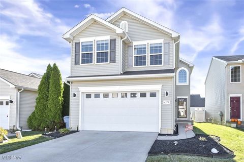 4513 Vineyard Drive Lorain OH 44053