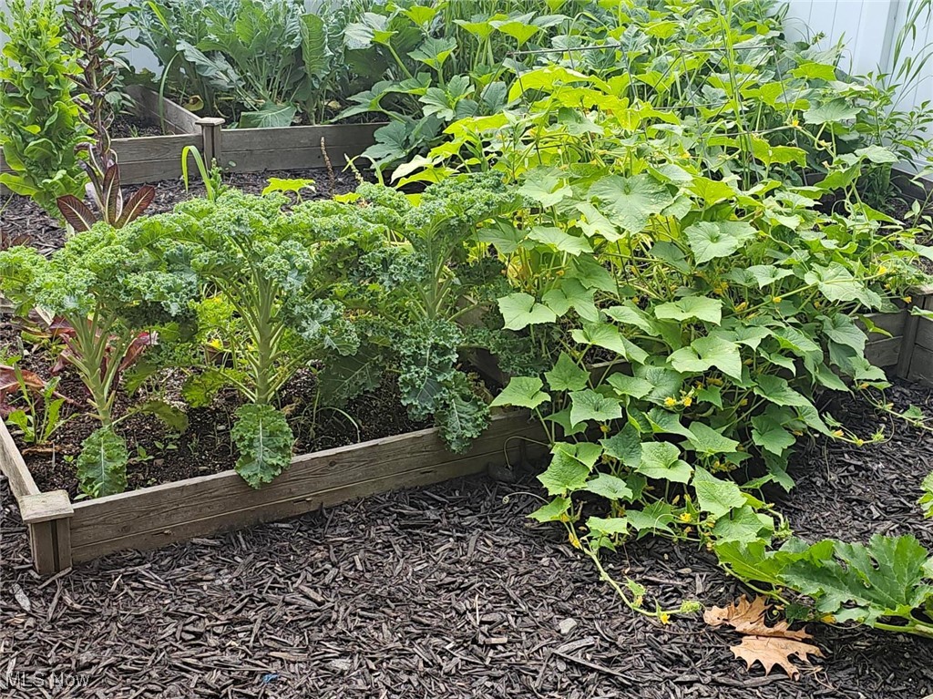 Beechcrest - Residential