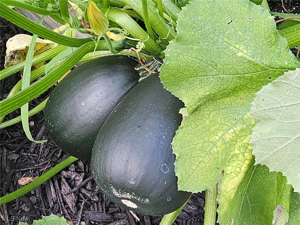 Beechcrest - Residential