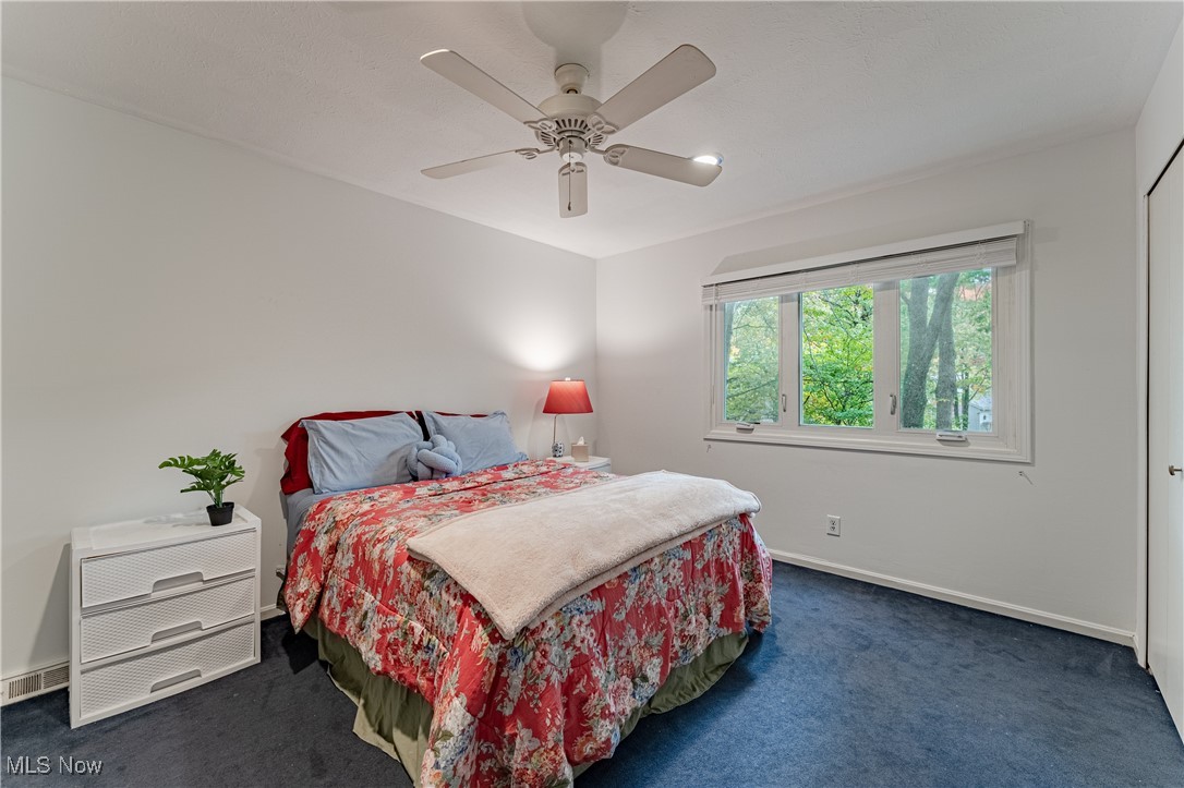 Orangewood 01 - Residential