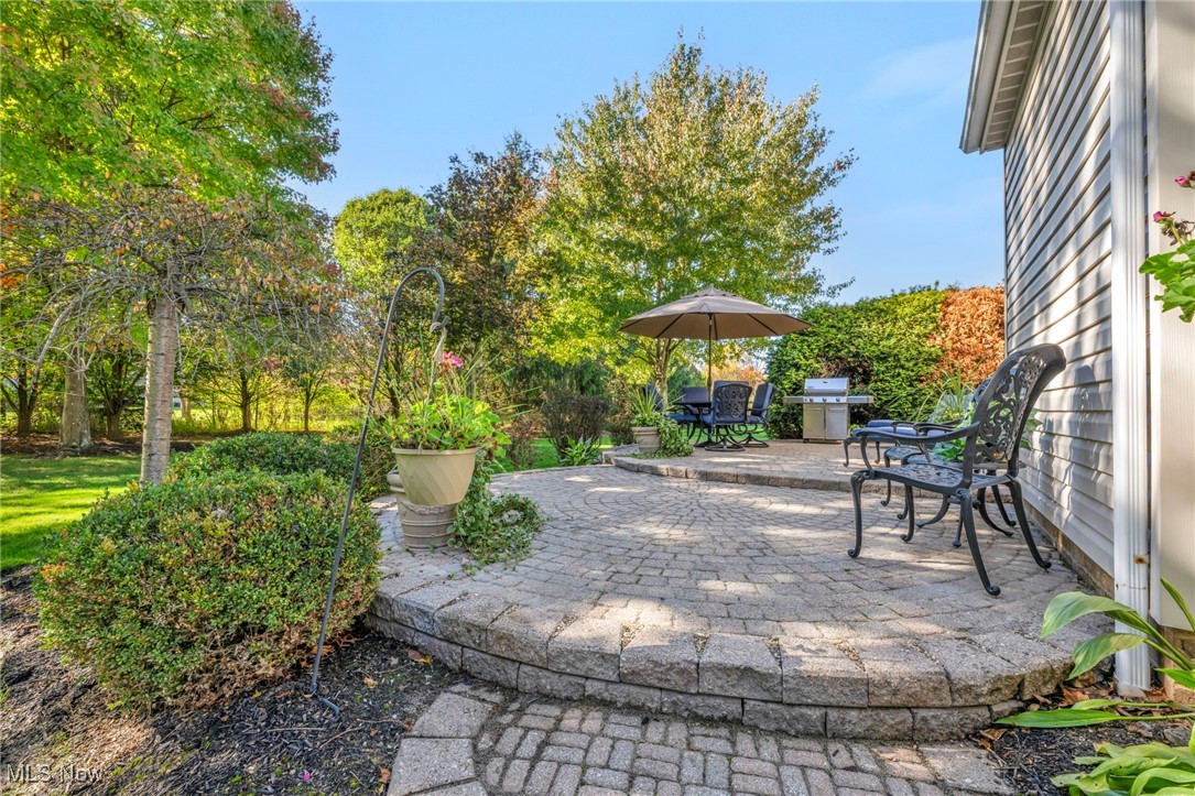 9970 Forest Lake Drive, Twinsburg, Ohio image 3