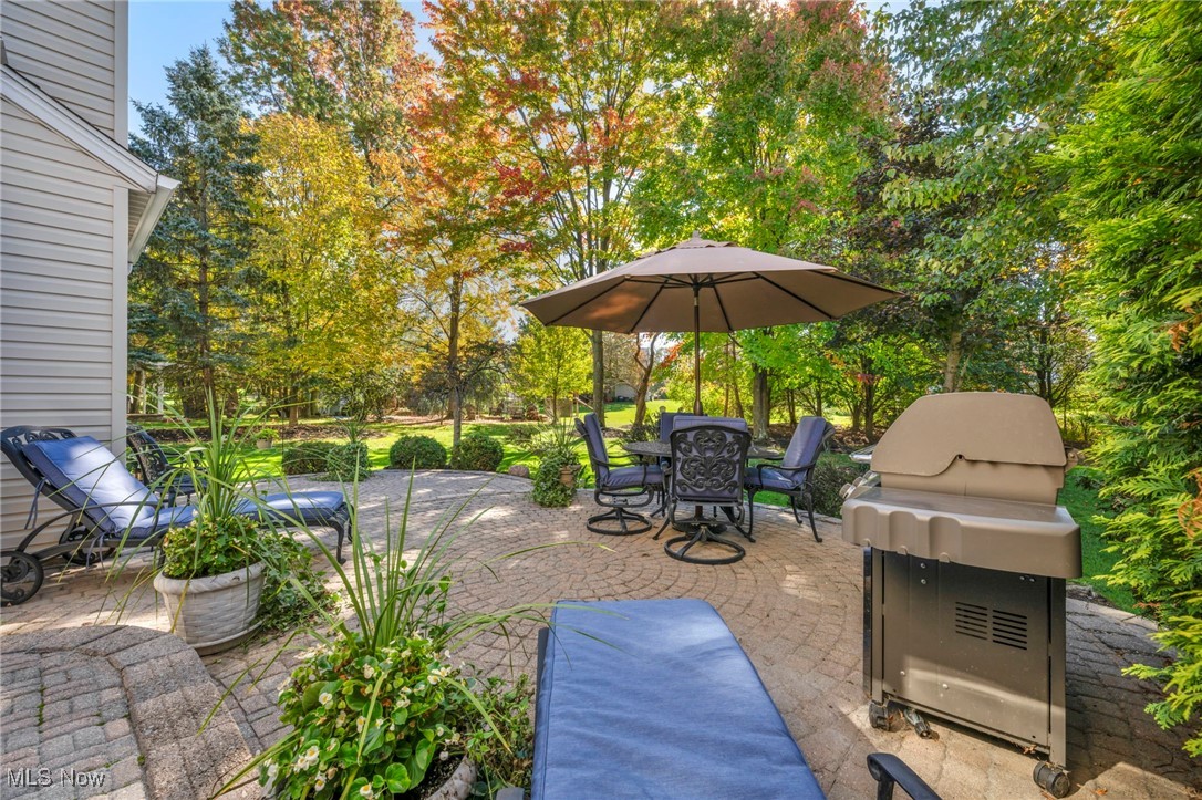 9970 Forest Lake Drive, Twinsburg, Ohio image 42