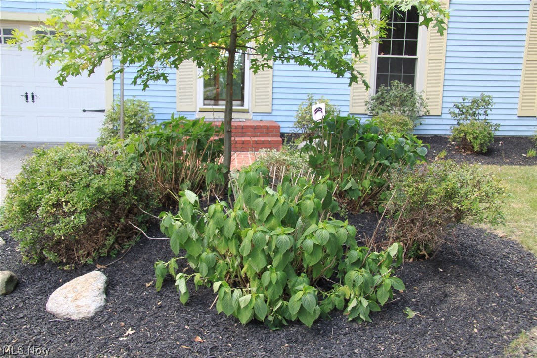 Edgewood Estates - Residential