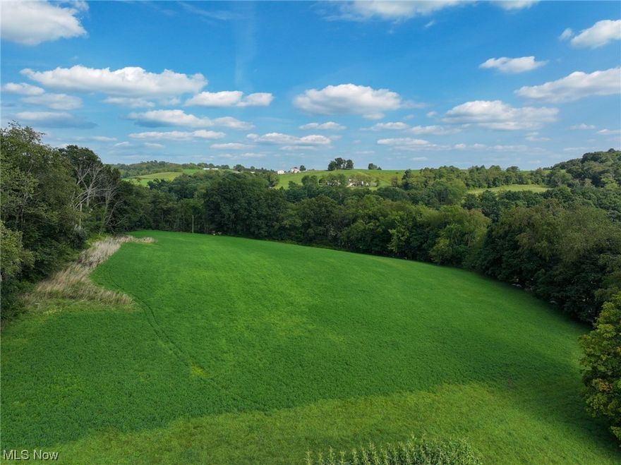 This is an auction. Listed amount does not represent a listing price. Selling at auction Sat. Sept. 30 at 12 noon. Come take a look at this beautiful 66 acre Holmes County farm! Productive farm ground or great spot to build. Currently being farmed organically. This property has been in the family for over 125 years! A great opportunity here! Parcels ranging from 3 to 22 acres. This is Parcel 6, 3 acres. Come to the Open House or walk this land at your convenience and pick out your favorite parcel. Please be careful and respectful of the tenant farmer’s crops.