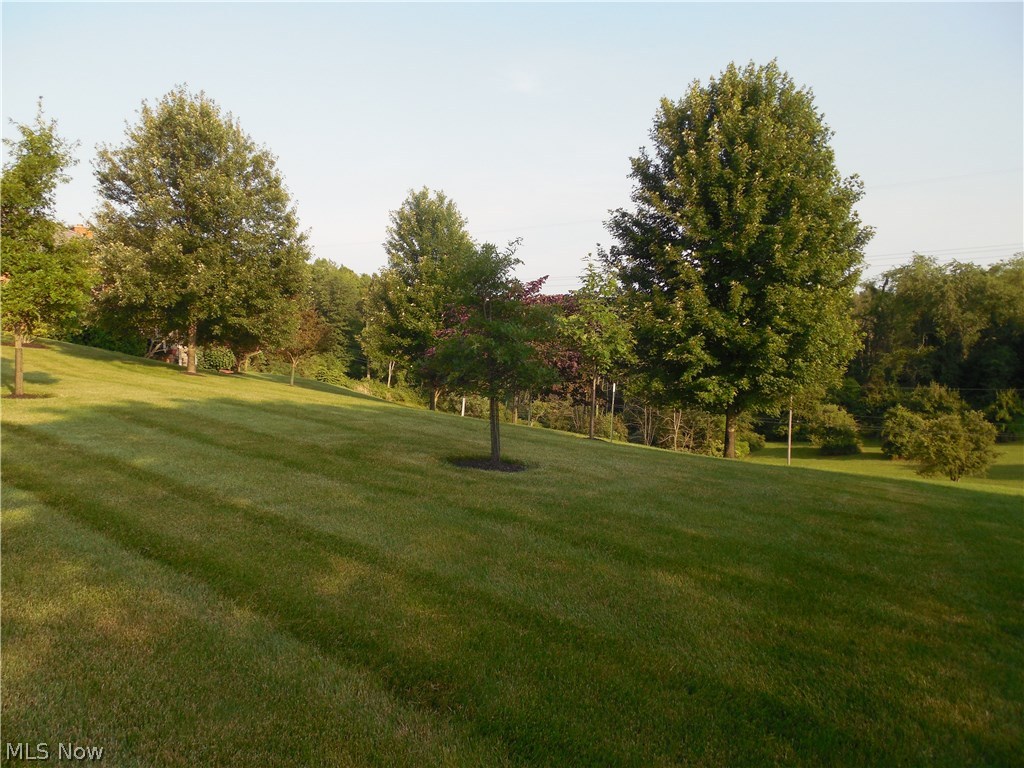 Albert - Residential