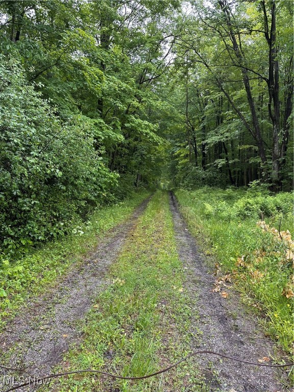 A Rare and Private Opportunity Awaits. Tucked away at the end of a 1,000+ ft driveway, this 20.1-acre flag lot offers unmatched privacy and peaceful seclusion surrounded by mature woods. The level homesite is ready for your vision—with electric service in place, a barn with a loft, utility shed, and the foundation slab and chimney from a former home that could be repurposed or rebuilt upon. Whether you're dreaming of a custom home, a private retreat, or a multi-use homestead, this setting offers endless possibilities. Properties like this—where you can hear the wind, not the world—rarely become available. Located across from Big Creek Park.
Additional items to note include a gas well on the property (mineral rights do not transfer) and an easement for electric lines to the rear of the property. Original well and septic are present on the property. Seller makes no representation as to their viability. Subject to probate approval.
