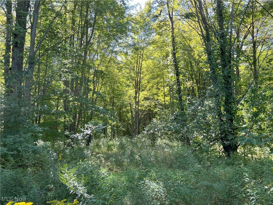 26 acres of vacant land that is ideal for recreational property or a homesite. There is a water well on the property from a former home that was on site 30+ years ago. Plenty of wildlife, heavy signs of deer and turkey, some mature hardwoods. Whether you're looking for a place to hunt, ride ATV's, prospect for future timber growth or build your dream home, come out to the country and see this beautiful piece of property!