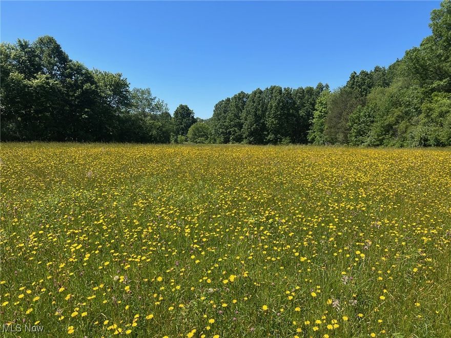 Looking for some property in Rootstown?  This is a 8.975 Acre Lot that has around 300 feet of frontage on Tallmadge Road, and would make a beautiful property for a house or if you're looking for a little extra farmland.  The property would need an approved septic system and well to build a home.  The soil study has not been done on this property yet.  Come and take a look and see all the opportunities and possibilities this lot has.