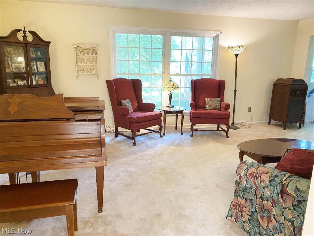 Iradale Allotment - Residential