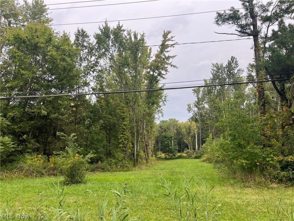 Royalton Road 026
