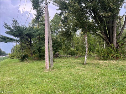 Vacant Land For Sale - Royalton Road #026<br/> Columbia Station, OH 44028