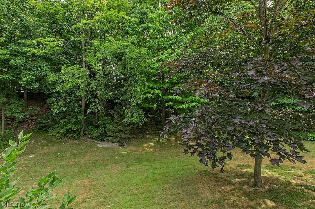 Little Mountain 05 - Residential