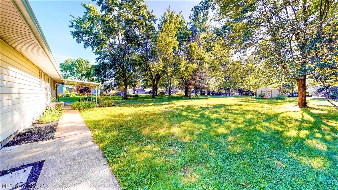 Manchester View Allotment 03 - Residential