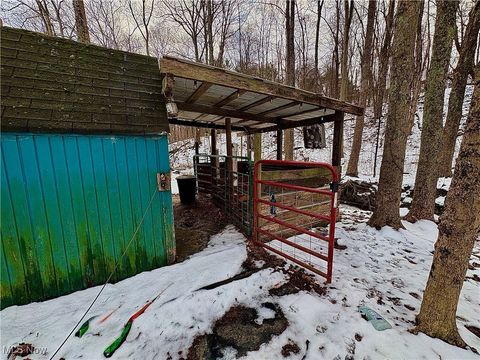 Tiny photo for 4542 Bloomfield Road, Cambridge, OH 43725 (MLS # 5177722)