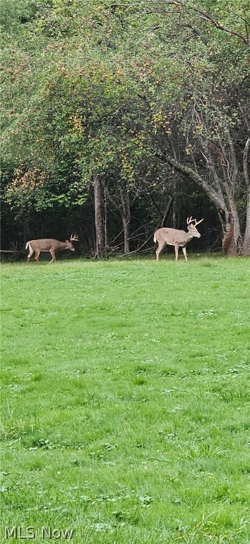 Runnymede 1 - Residential