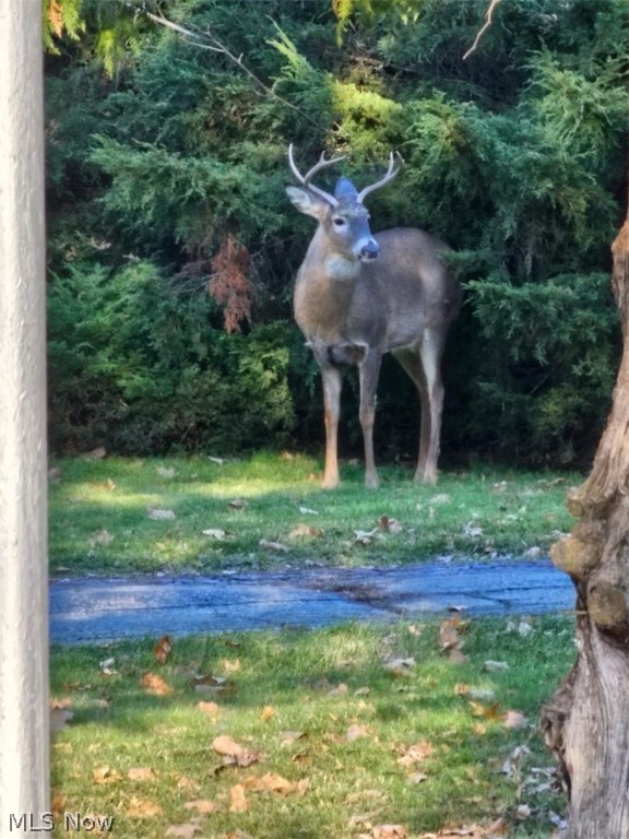 Runnymede 1 - Residential