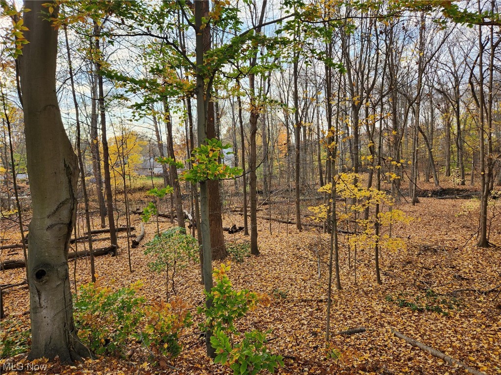 Presidential Dev Co - Residential