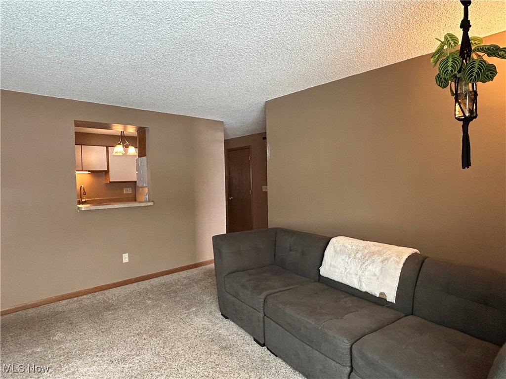 Hidden Creek Condo - Residential