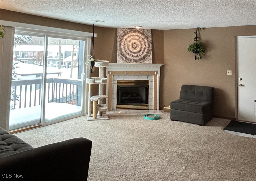 Hidden Creek Condo - Residential