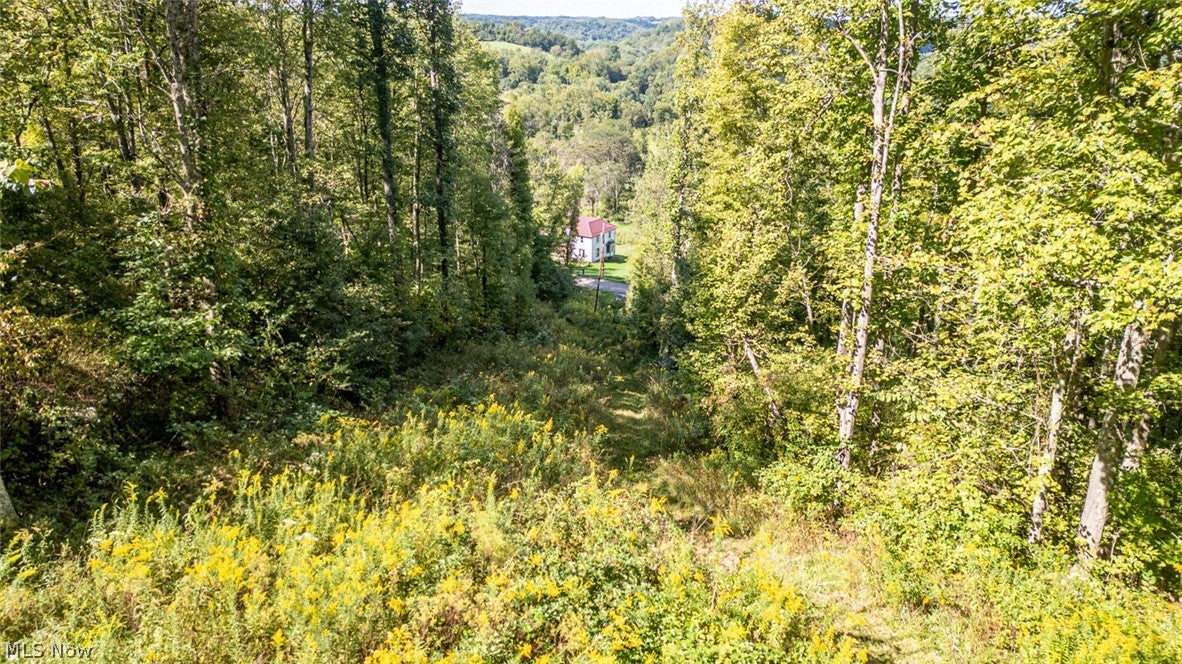 0 SE Kleski Road