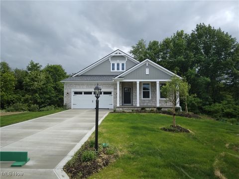 Homes For Sale - 6144 Grey Heron Drive<br/> Medina, OH 44256