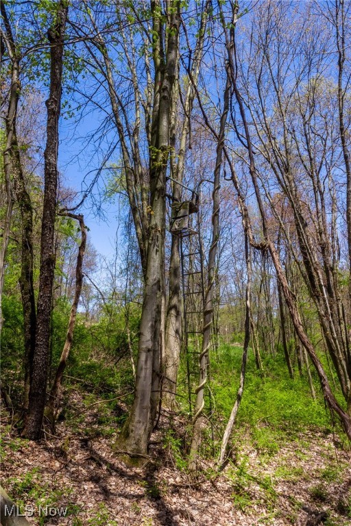 1065 Township Road 2375, Perrysville, Ohio image 13