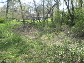 Frontage on lot #173