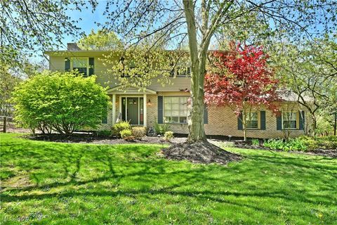 8676 Squirrel Hill Drive NE, Warren, OH 44484 - MLS#: 5118076