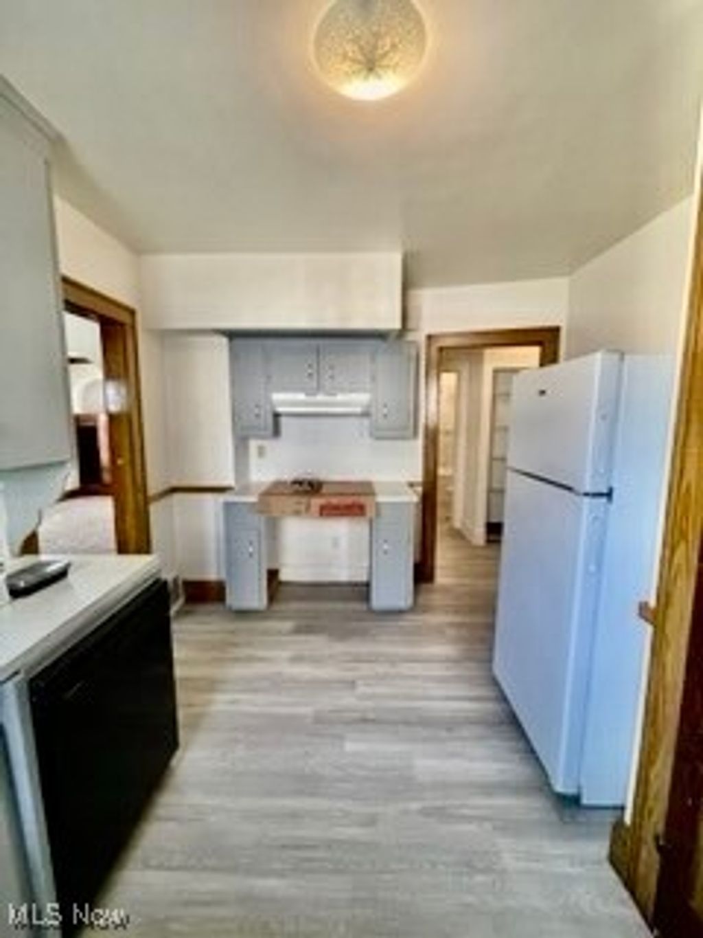 Photo of 19031 Locherie Avenue, Euclid, OH 44119 (MLS # 5183474)