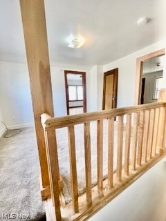 North Euclid Villas - Residential