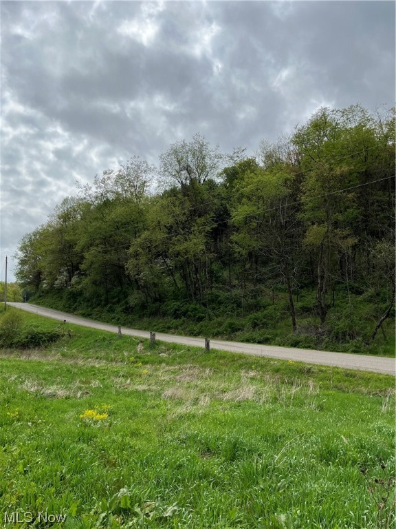 Peaceful 8.4+/- acre country setting in New Philadelphia School district. 550'+/- road frontage on Angel Valley Road, Beautiful wooded setting with excellent potential home site. Wildlife galore, excellent hunting potential. No mineral rights to transfer.