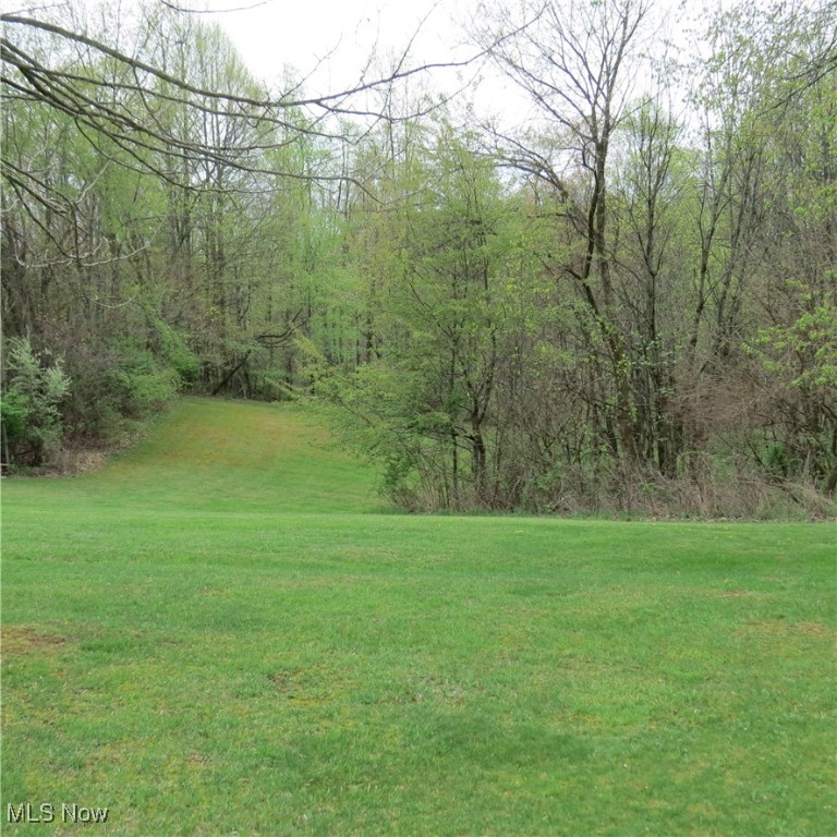 2088 Antigua Road, Carrollton, Ohio image 12