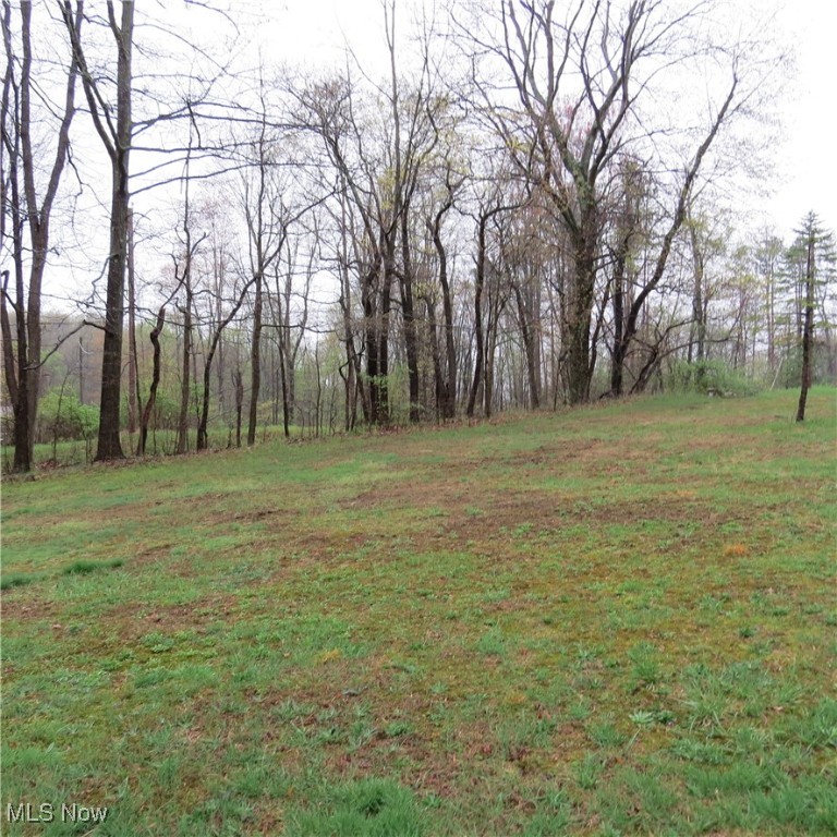 2088 Antigua Road, Carrollton, Ohio image 7