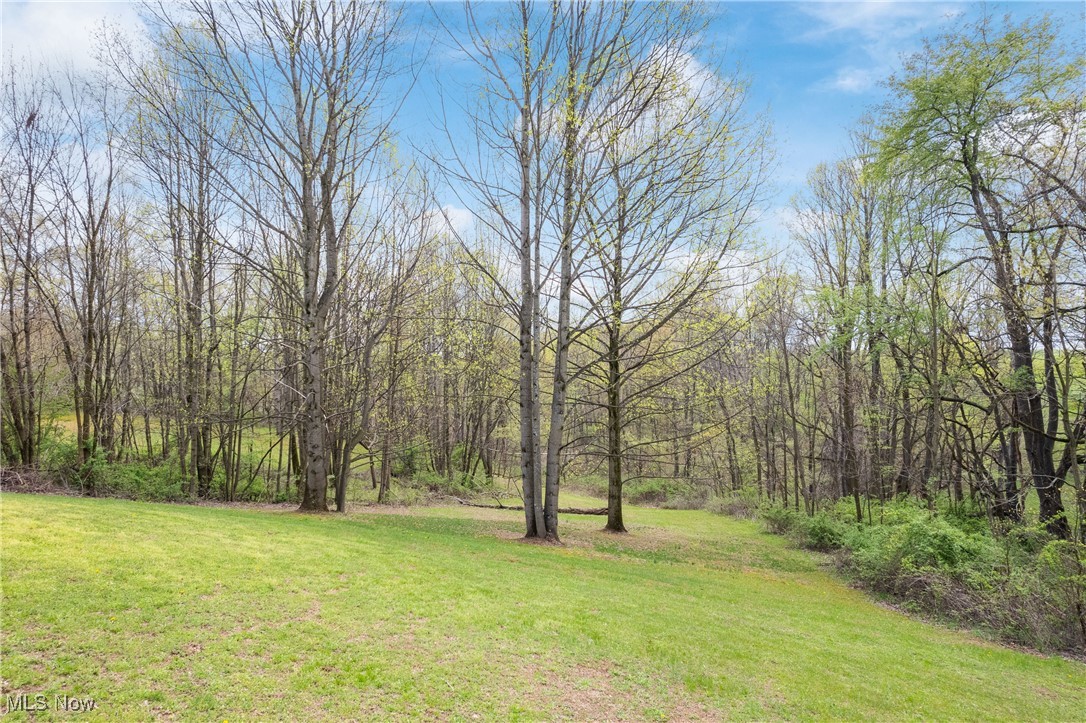 2088 Antigua Road, Carrollton, Ohio image 48