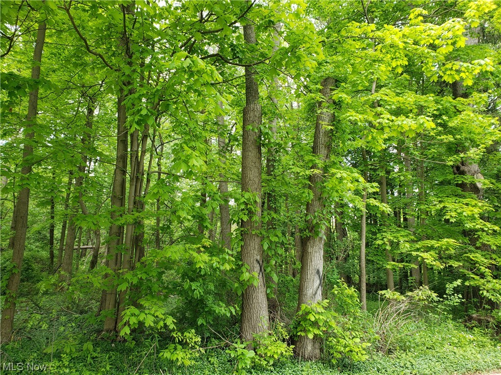 Twinsburg 02 - Residential