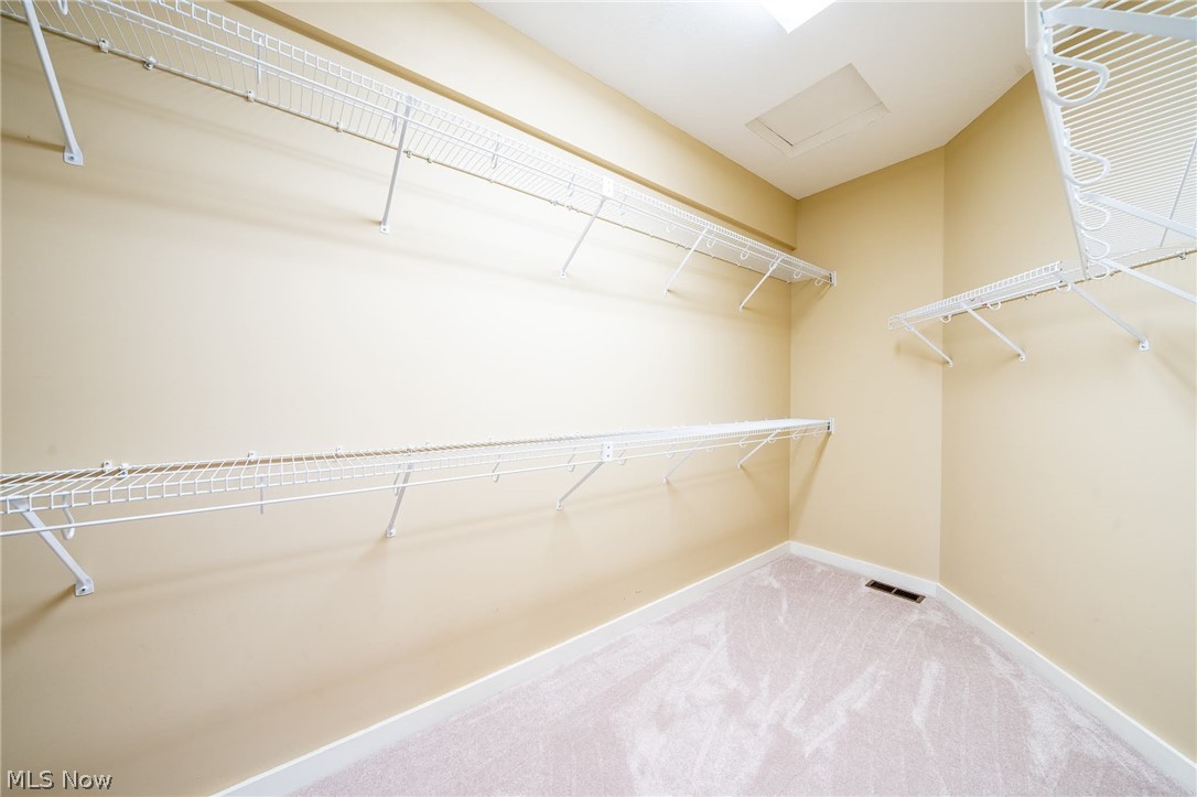 Forest Lake - Residential