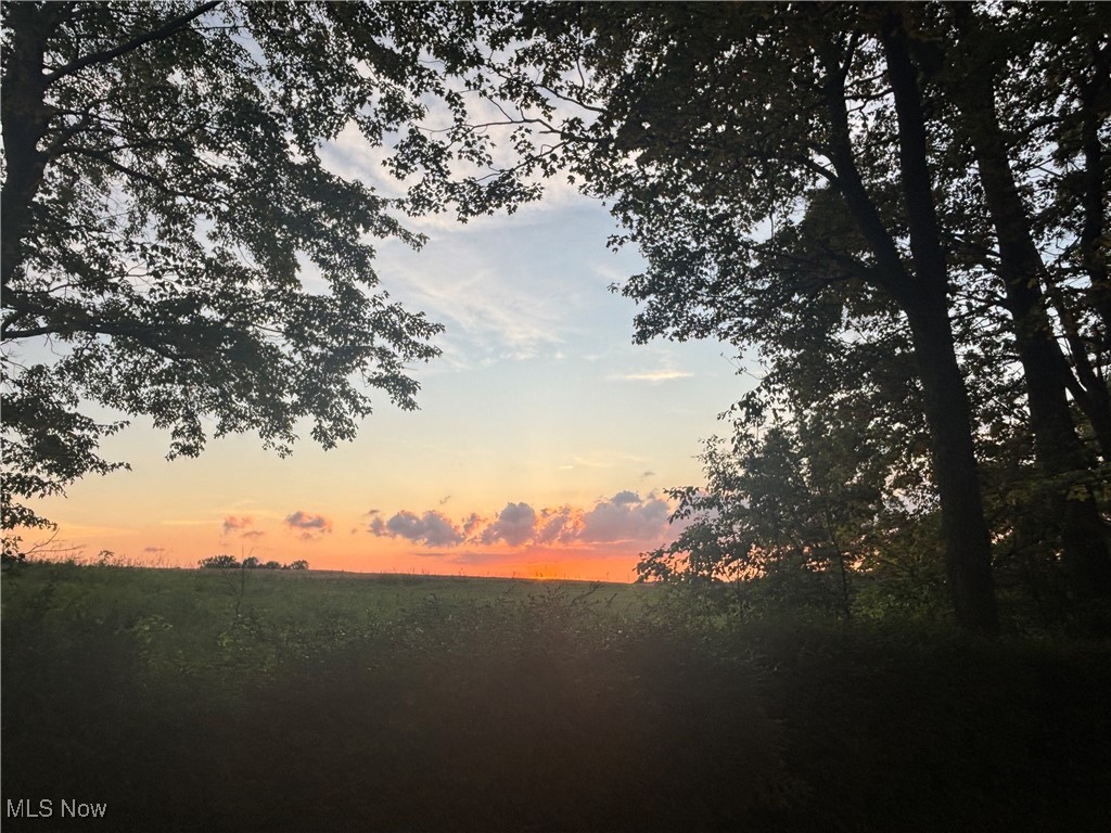 Meadow Manor Allotment 05 - Residential