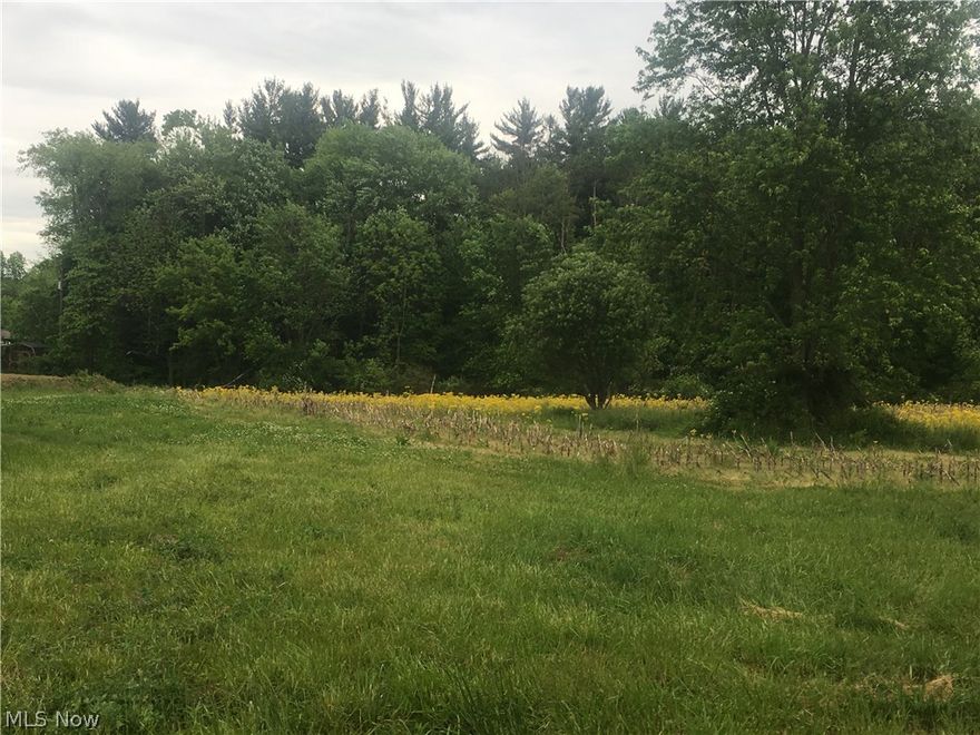 This lot is located at the end of the dead end road.  Great seclusion.  Sits beside an additional 2.051. Both could be purchased if someone was looking for a total of 4 acres.  This is a beautiful building lot on Wooster's north end. Build your dream home in an area of high end real estate. Restrictions on file at office. 4 lots available, call for pricing. Weaver Custom Homes is the exclusive builder.